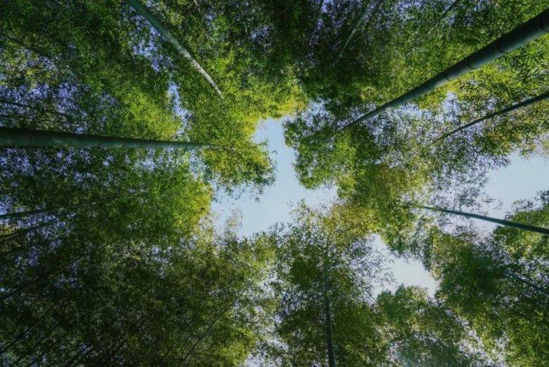 项梁项羽是如何起家的?江东八千子弟对项羽来说意味着什么?